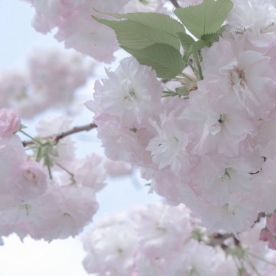 站前FurryQQ群介绍